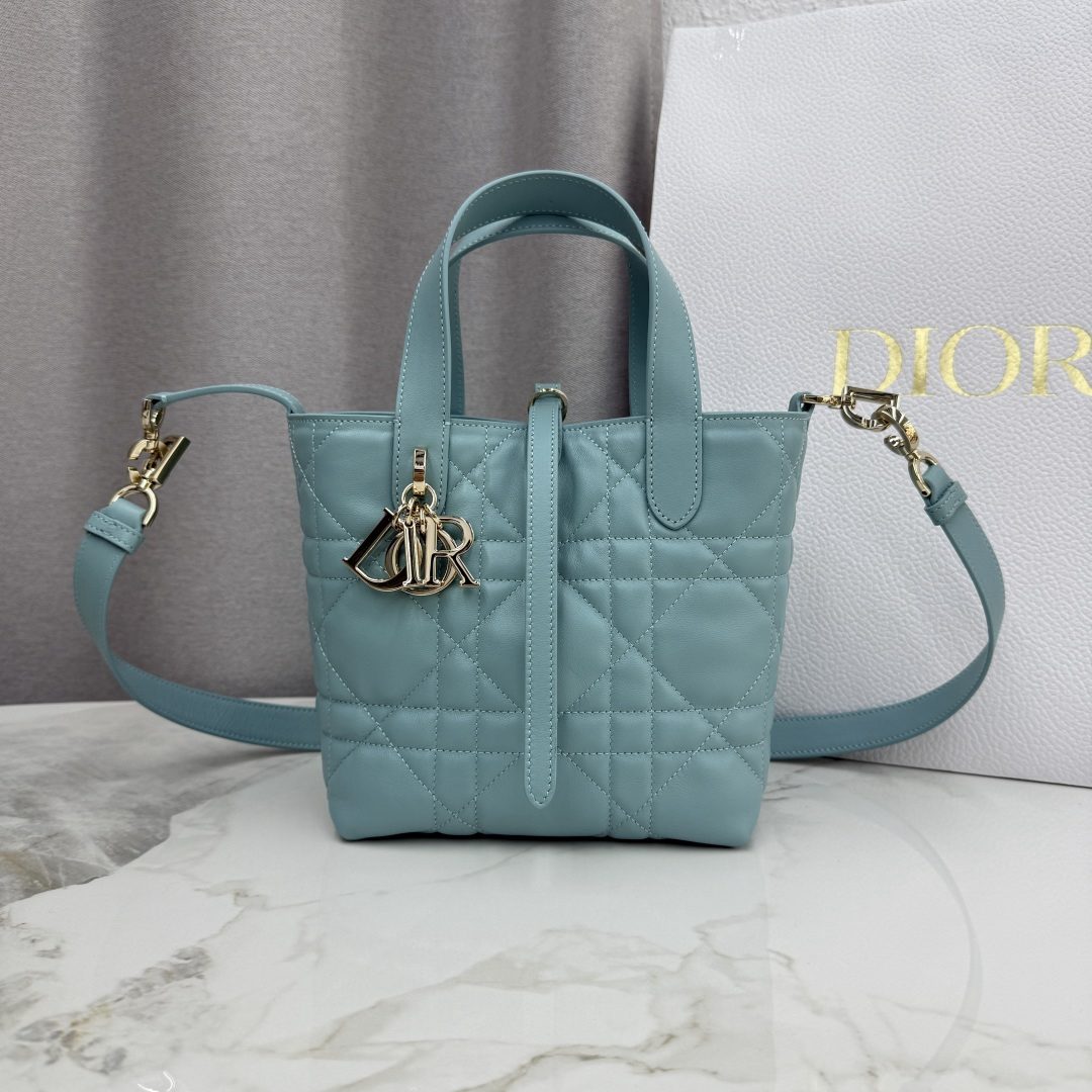 Dior Toujours Vertical Bag M2835 Tourmaline