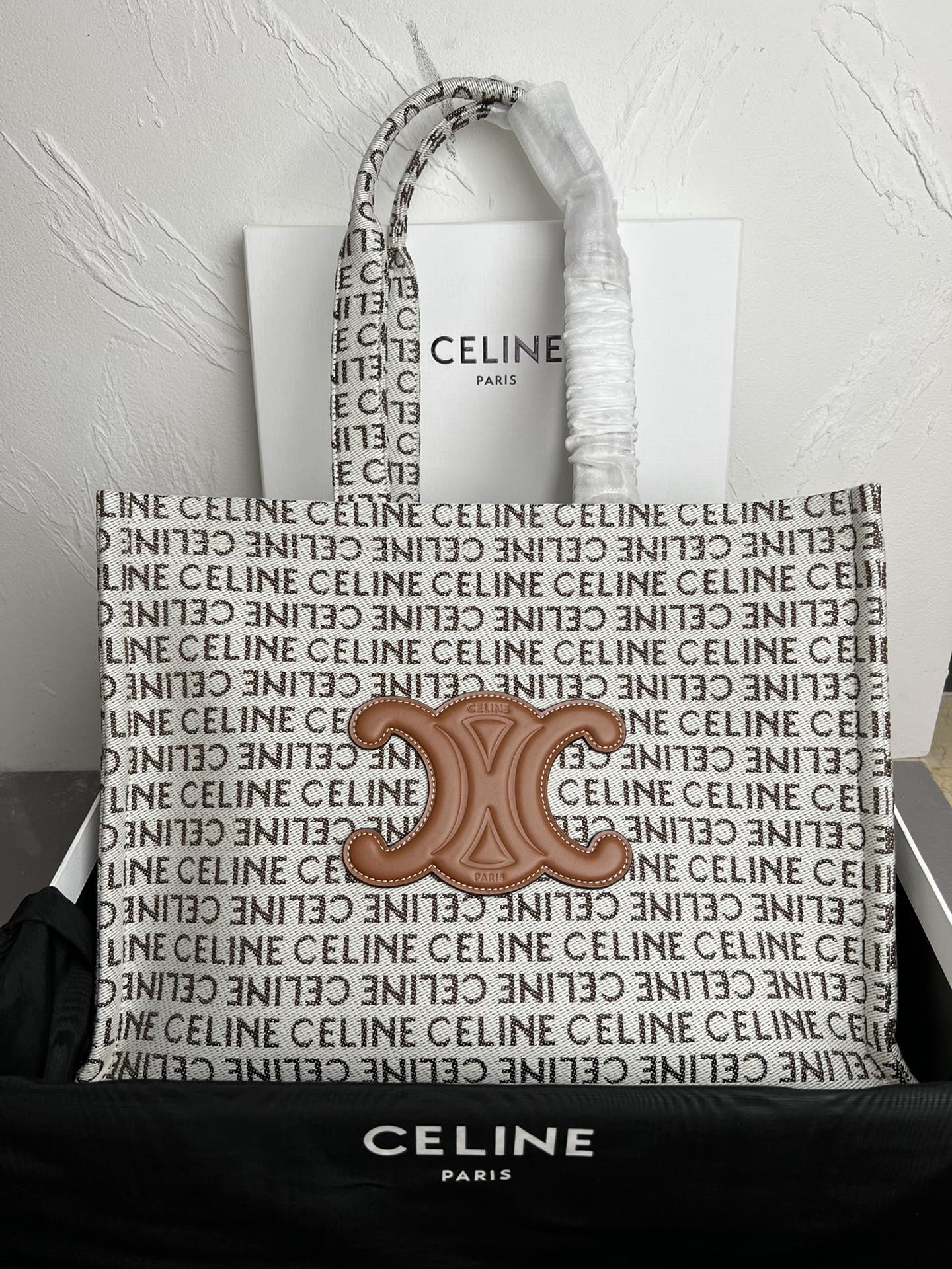 CELINE CABAS THAIS Canvas Women's Tote Bag